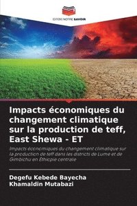 bokomslag Impacts conomiques du changement climatique sur la production de teff, East Shewa - ET