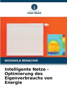 bokomslag Intelligente Netze - Optimierung des Eigenverbrauchs von Energie