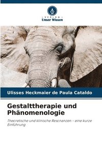 bokomslag Gestalttherapie und Phnomenologie