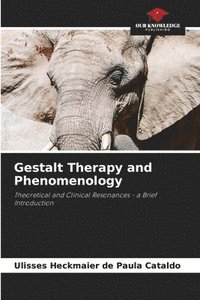 bokomslag Gestalt Therapy and Phenomenology