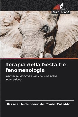 bokomslag Terapia della Gestalt e fenomenologia