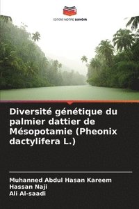 bokomslag Diversit gntique du palmier dattier de Msopotamie (Pheonix dactylifera L.)