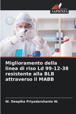 Miglioramento della linea di riso Ld 99-12-38 resistente alla BLB attraverso il MABB 1