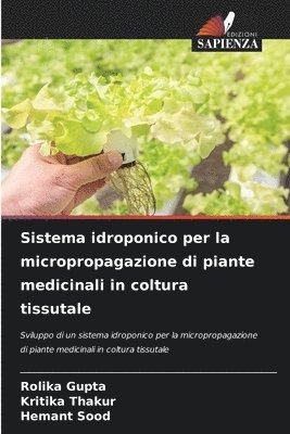 Sistema idroponico per la micropropagazione di piante medicinali in coltura tissutale 1