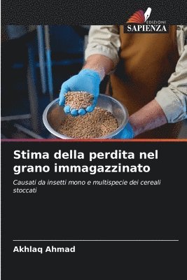 bokomslag Stima della perdita nel grano immagazzinato