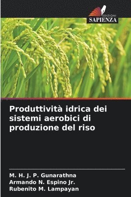 Produttivit idrica dei sistemi aerobici di produzione del riso 1