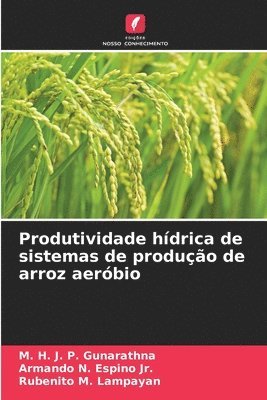 Produtividade hdrica de sistemas de produo de arroz aerbio 1