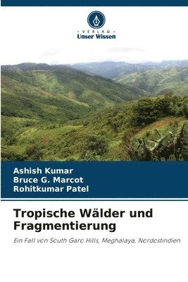 Tropische Wlder und Fragmentierung 1