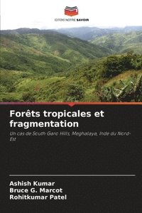 bokomslag Forts tropicales et fragmentation
