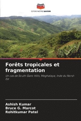 Forts tropicales et fragmentation 1