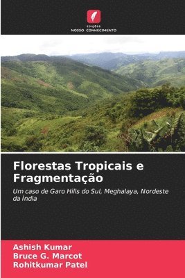 bokomslag Florestas Tropicais e Fragmentao