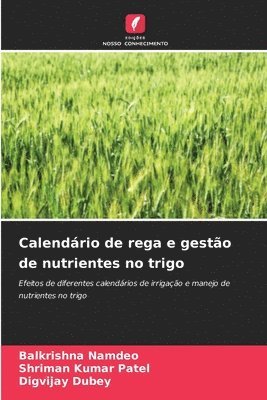 bokomslag Calendrio de rega e gesto de nutrientes no trigo