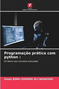 bokomslag Programao prtica com python