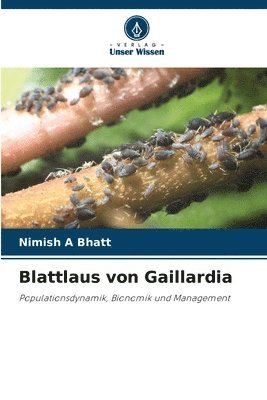 Blattlaus von Gaillardia 1