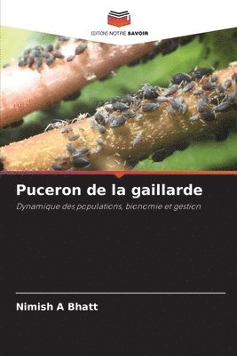 bokomslag Puceron de la gaillarde