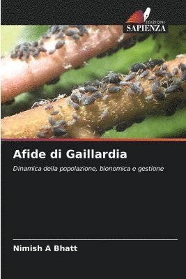 Afide di Gaillardia 1