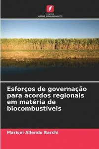bokomslag Esforços de governação para acordos regionais em matéria de biocombustíveis