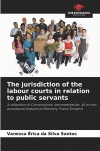 bokomslag The jurisdiction of the labour courts in relation to public servants