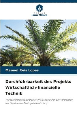 bokomslag Durchfhrbarkeit des Projekts Wirtschaftlich-finanzielle Technik