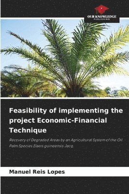 Feasibility of implementing the project Economic-Financial Technique 1