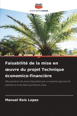 bokomslag Faisabilit de la mise en oeuvre du projet Technique conomico-financire