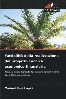 bokomslag Fattibilit della realizzazione del progetto Tecnica economico-finanziaria