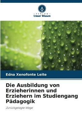 bokomslag Die Ausbildung von Erzieherinnen und Erziehern im Studiengang Pdagogik