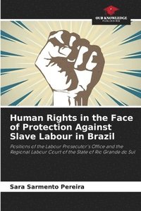 bokomslag Human Rights in the Face of Protection Against Slave Labour in Brazil