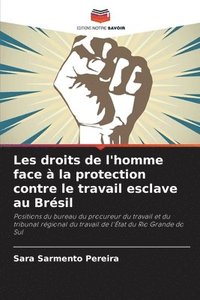 bokomslag Les droits de l'homme face  la protection contre le travail esclave au Brsil