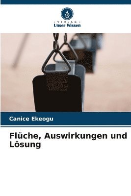 bokomslag Flche, Auswirkungen und Lsung