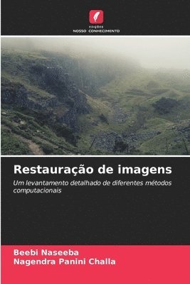 bokomslag Restaurao de imagens