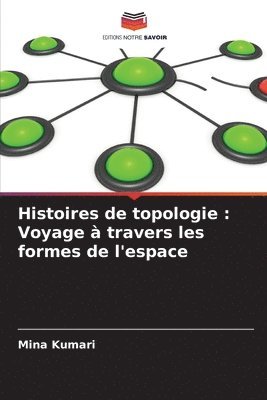 bokomslag Histoires de topologie