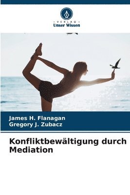 bokomslag Konfliktbewltigung durch Mediation