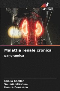 bokomslag Malattia renale cronica panoramica