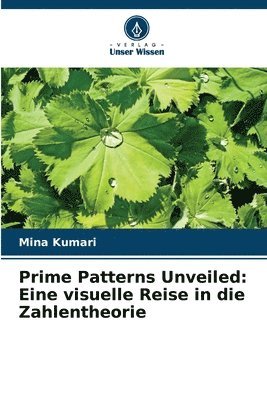 bokomslag Prime Patterns Unveiled