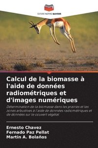 bokomslag Calcul de la biomasse à l'aide de données radiométriques et d'images numériques