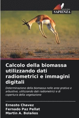 bokomslag Calcolo della biomassa utilizzando dati radiometrici e immagini digitali