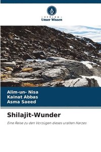 bokomslag Shilajit-Wunder