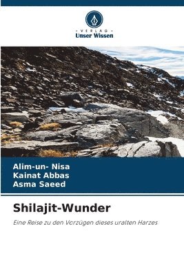 Shilajit-Wunder 1