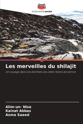 Les merveilles du shilajit 1