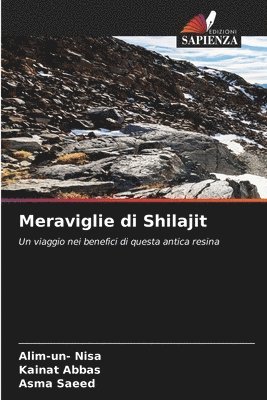 bokomslag Meraviglie di Shilajit