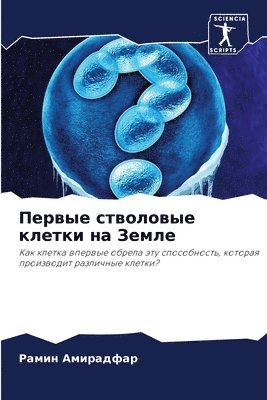 &#1055;&#1077;&#1088;&#1074;&#1099;&#1077; &#1089;&#1090;&#1074;&#1086;&#1083;&#1086;&#1074;&#1099;&#1077; &#1082;&#1083;&#1077;&#1090;&#1082;&#1080; &#1085;&#1072; &#1047;&#1077;&#1084;&#1083;&#1077; 1