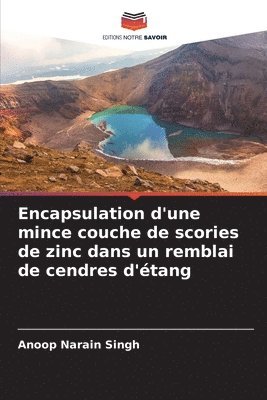 bokomslag Encapsulation d'une mince couche de scories de zinc dans un remblai de cendres d'tang