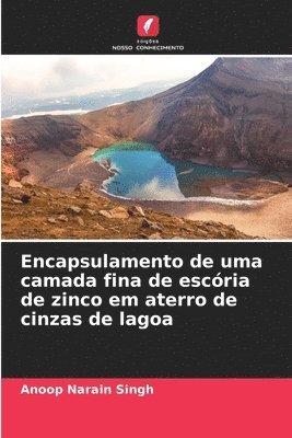 bokomslag Encapsulamento de uma camada fina de escria de zinco em aterro de cinzas de lagoa