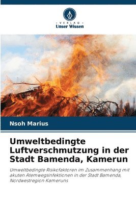 bokomslag Umweltbedingte Luftverschmutzung in der Stadt Bamenda, Kamerun