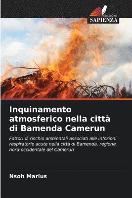 Inquinamento atmosferico nella citt di Bamenda Camerun 1