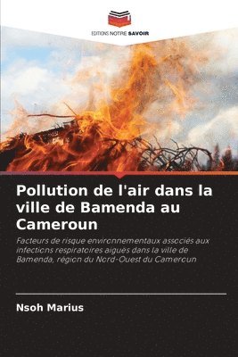 bokomslag Pollution de l'air dans la ville de Bamenda au Cameroun