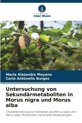 Untersuchung von Sekundrmetaboliten in Morus nigra und Morus alba 1