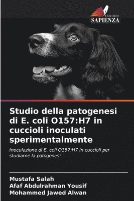 bokomslag Studio della patogenesi di E. coli O157