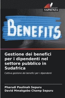 bokomslag Gestione dei benefici per i dipendenti nel settore pubblico in Sudafrica